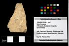 Foto (Objekt + Etikett) von Cyclothyreus sp.  (NHMW-GEO-1990-0041-3244)